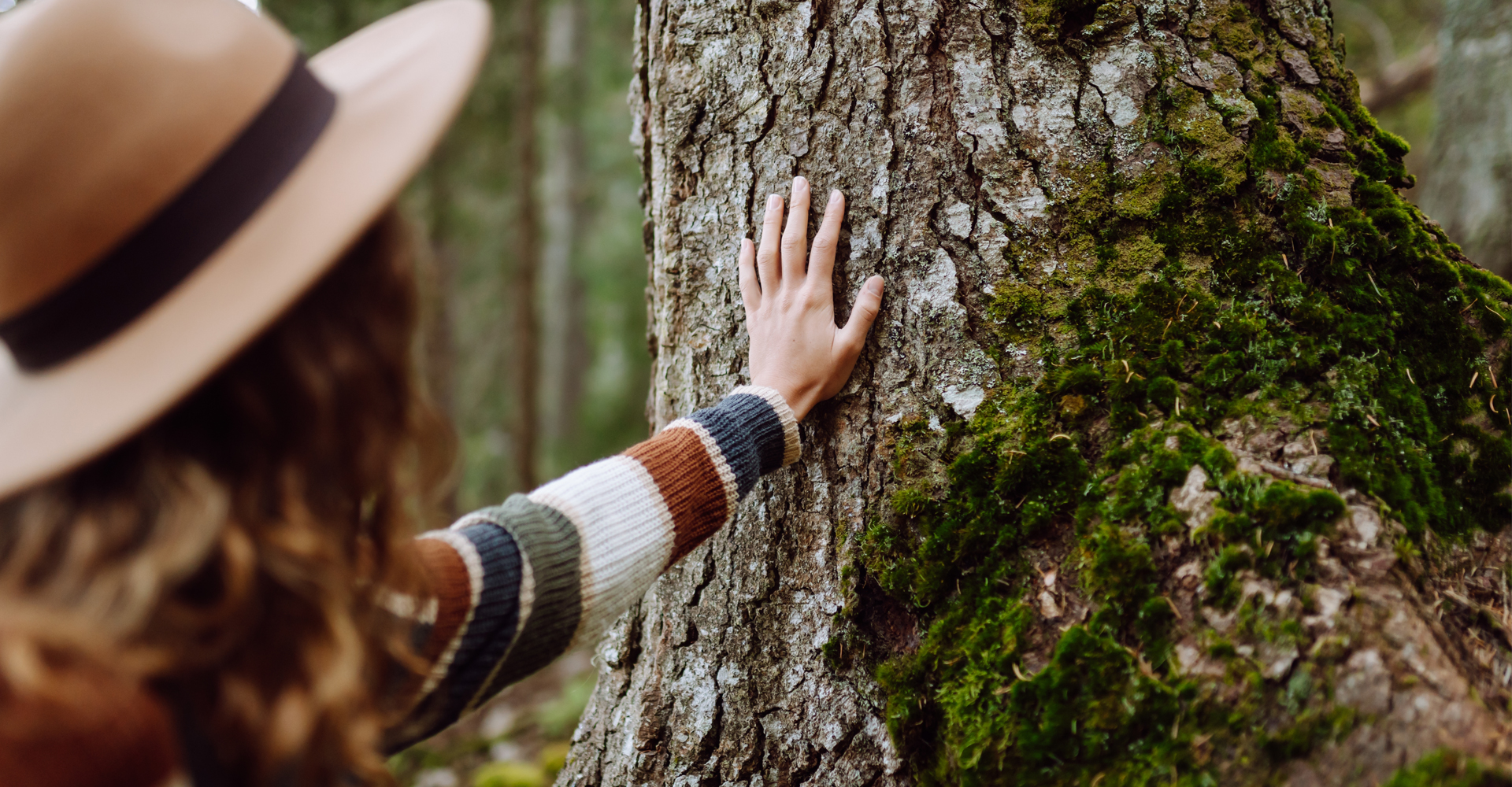 Person mit Hut legt die Hand auf einen moosbewachsenen Baumstamm im Wald